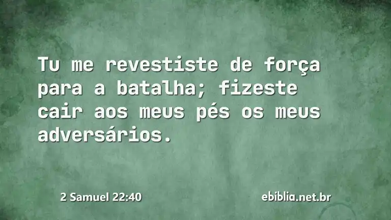 2 Samuel 22:40