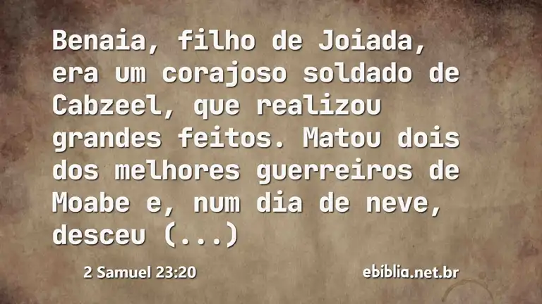 2 Samuel 23:20