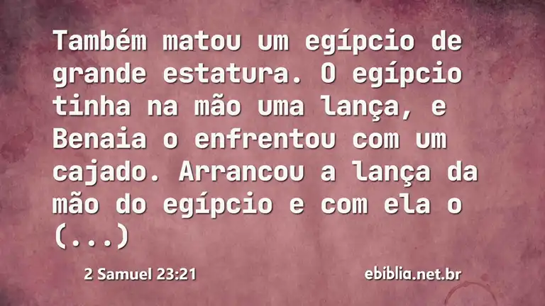 2 Samuel 23:21