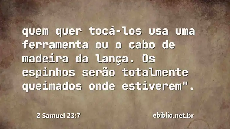 2 Samuel 23:7