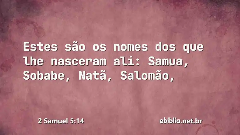 2 Samuel 5:14