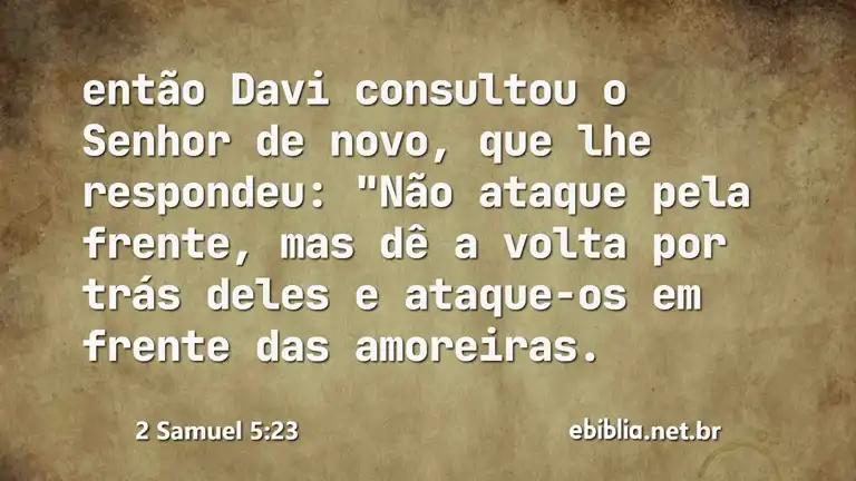 2 Samuel 5:23