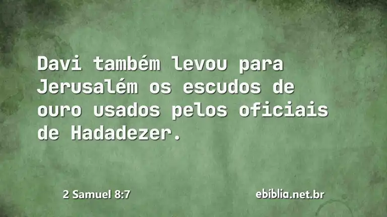 2 Samuel 8:7