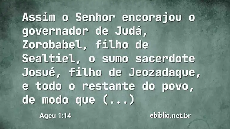 Ageu 1:14