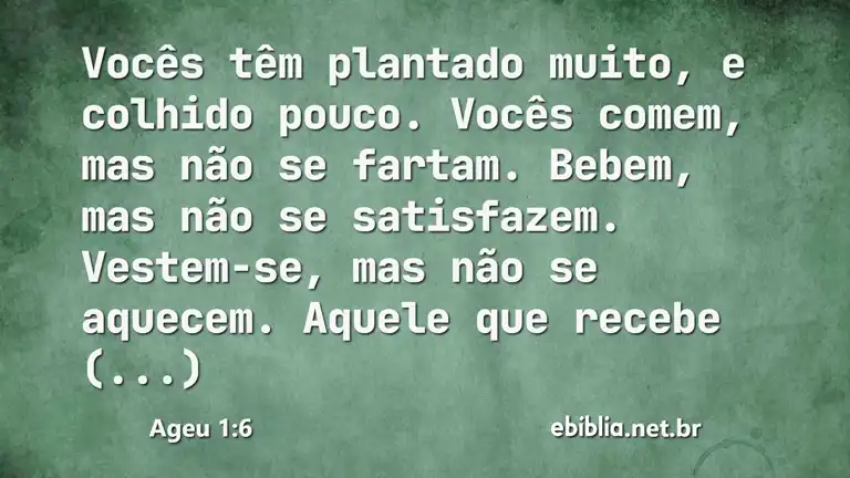 Ageu 1:6