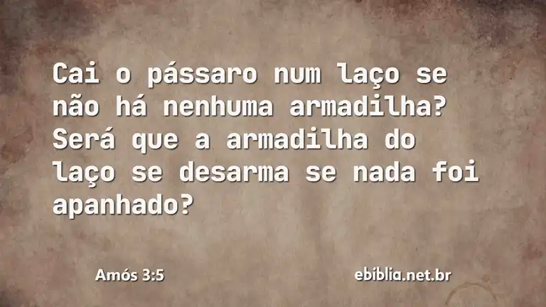 Amós 3:5