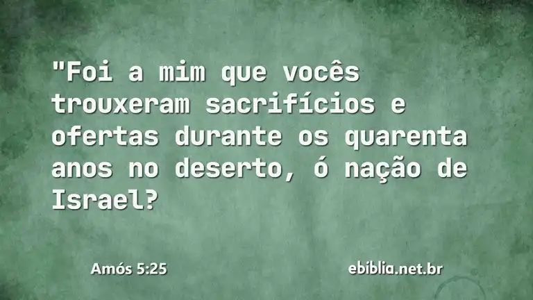 Amós 5:25