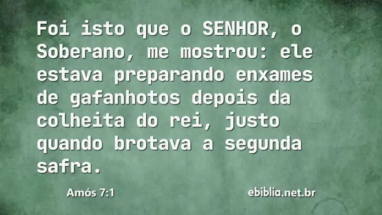 Amós 7:1