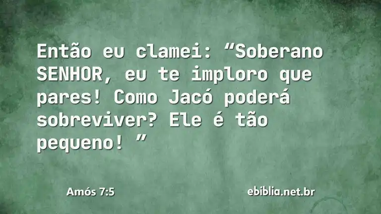 Amós 7:5