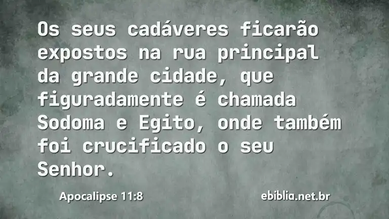 Apocalipse 11:8