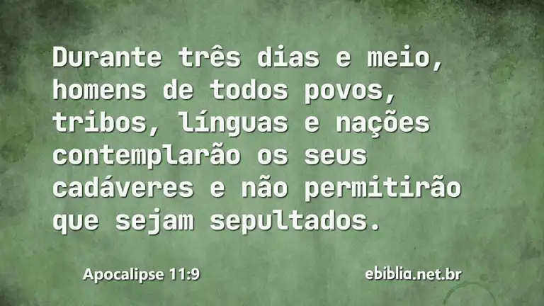 Apocalipse 11:9