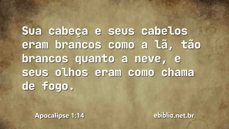 Apocalipse 1:14