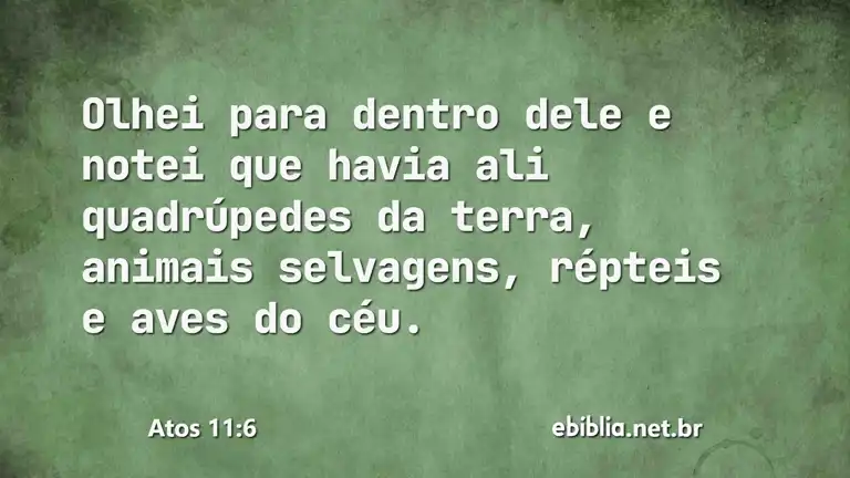 Atos 11:6