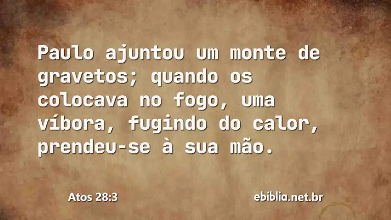 Atos 28:3