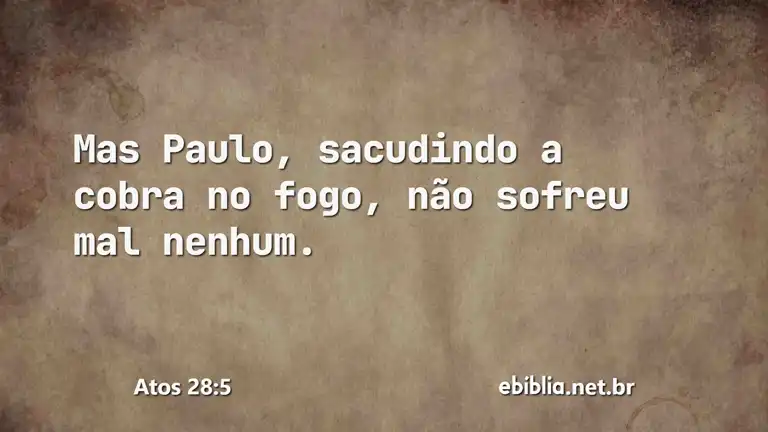 Atos 28:5