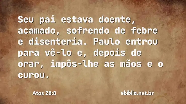 Atos 28:8