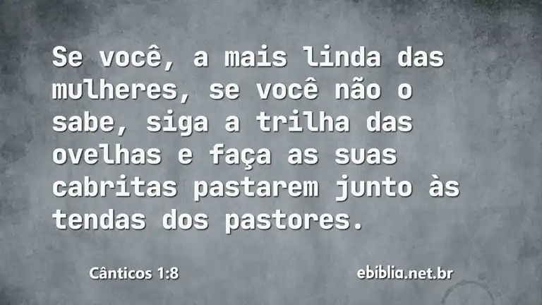 Cânticos 1:8