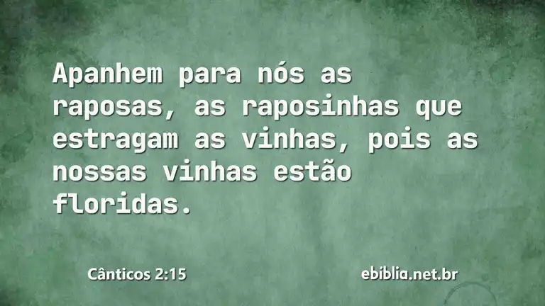 Cânticos 2:15