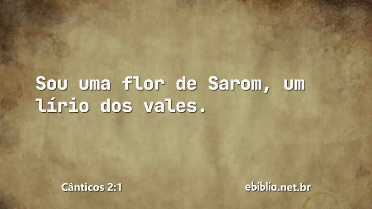 Cânticos 2:1