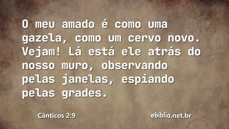 Cânticos 2:9