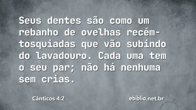 Cânticos 4:2