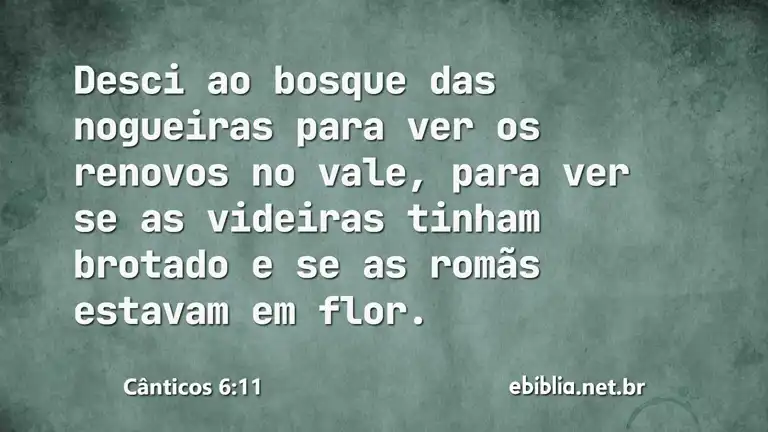 Cânticos 6:11