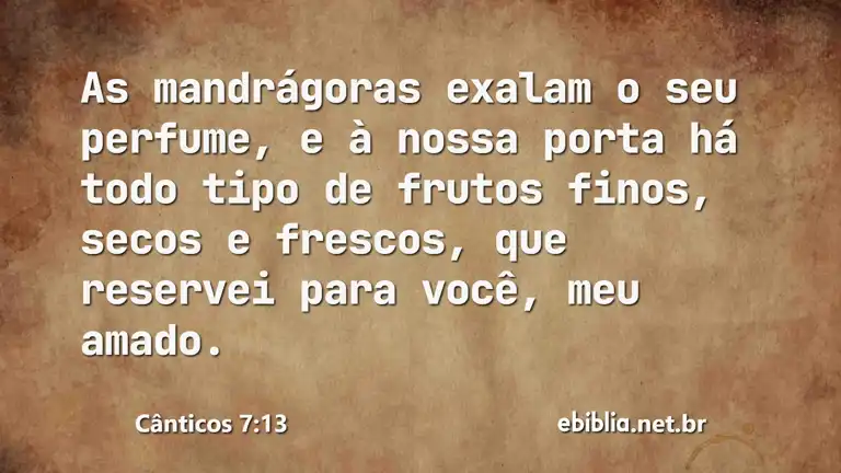 Cânticos 7:13