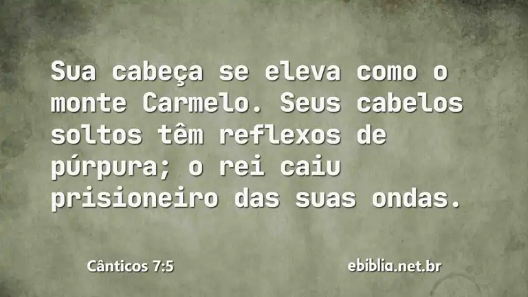 Cânticos 7:5