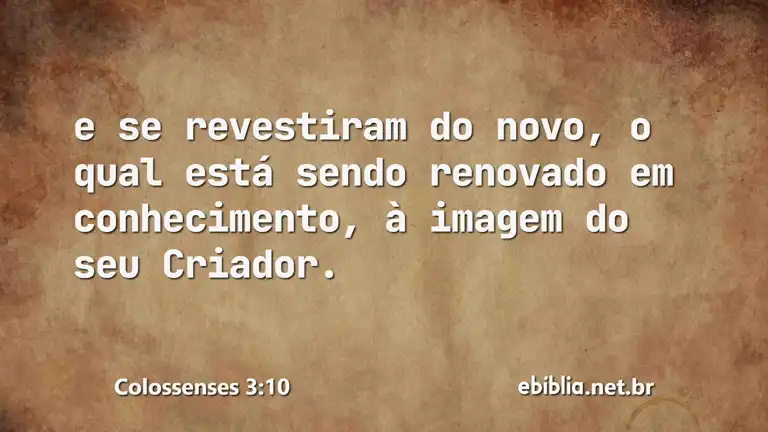 Colossenses 3:10