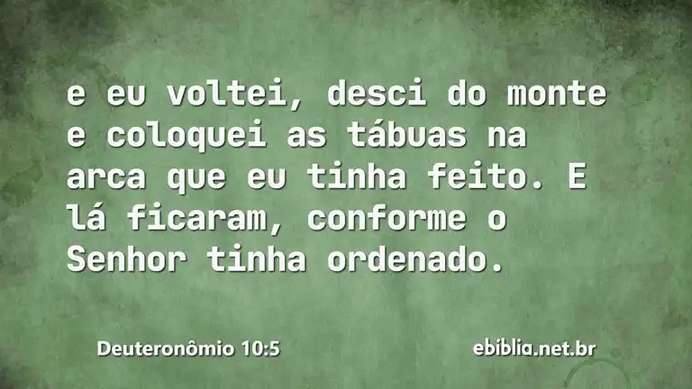 Deuteronômio 10:5