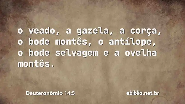 Deuteronômio 14:5