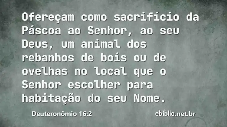 Deuteronômio 16:2