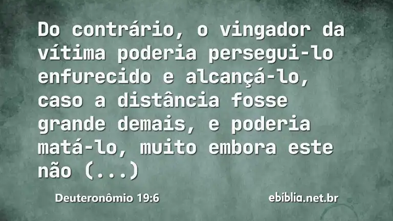 Deuteronômio 19:6