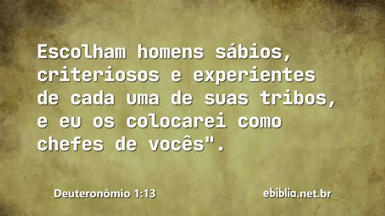 Deuteronômio 1:13