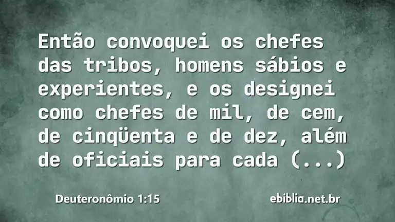 Deuteronômio 1:15