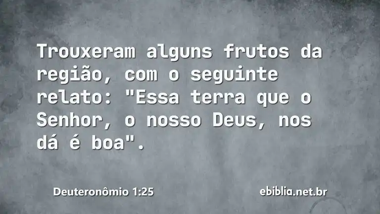 Deuteronômio 1:25