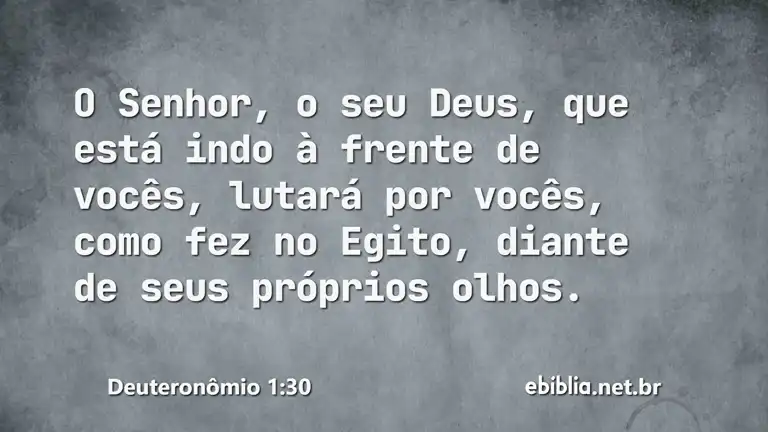 Deuteronômio 1:30