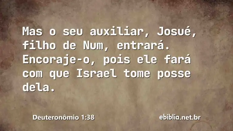 Deuteronômio 1:38