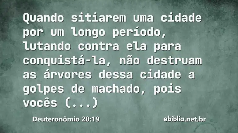 Deuteronômio 20:19