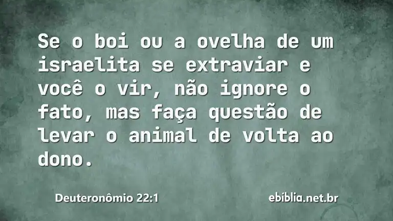 Deuteronômio 22:1