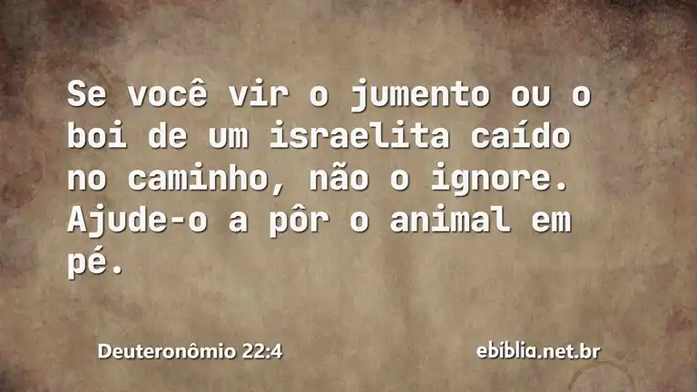 Deuteronômio 22:4