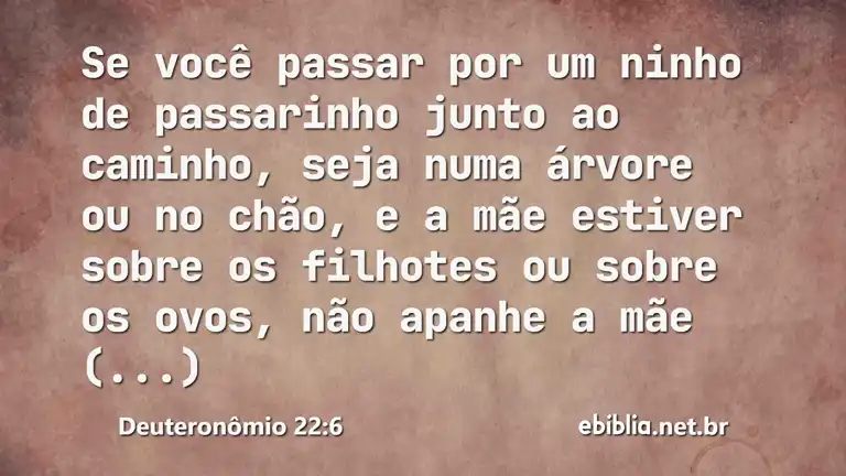 Deuteronômio 22:6