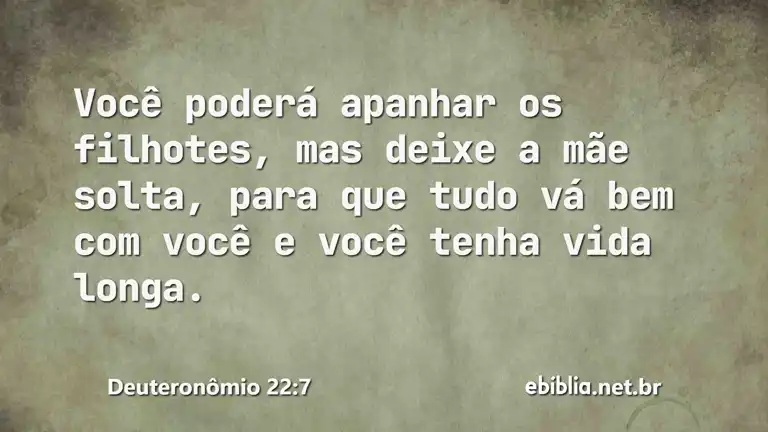 Deuteronômio 22:7