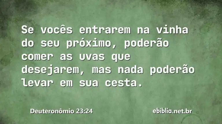 Deuteronômio 23:24