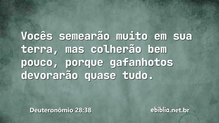 Deuteronômio 28:38