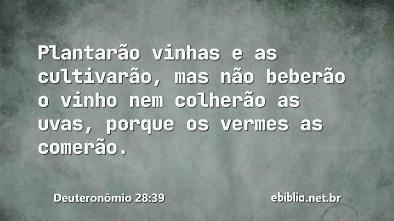 Deuteronômio 28:39