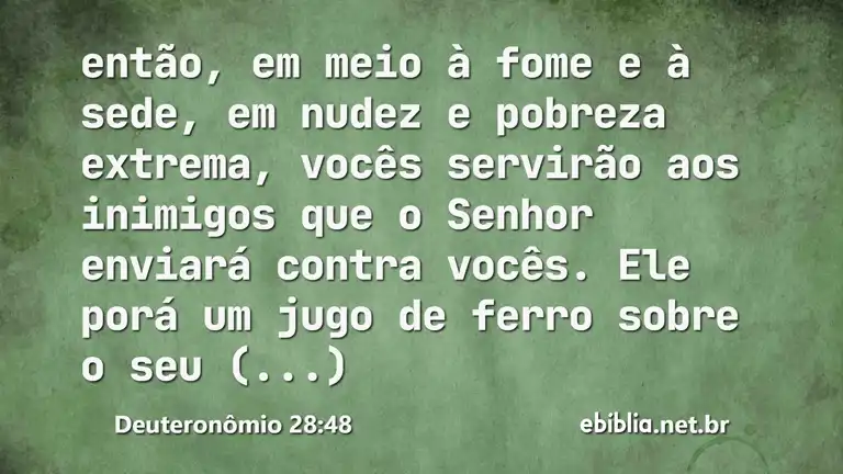 Deuteronômio 28:48