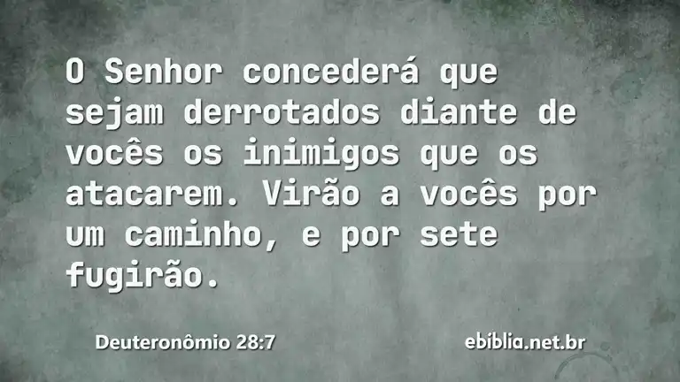 Deuteronômio 28:7