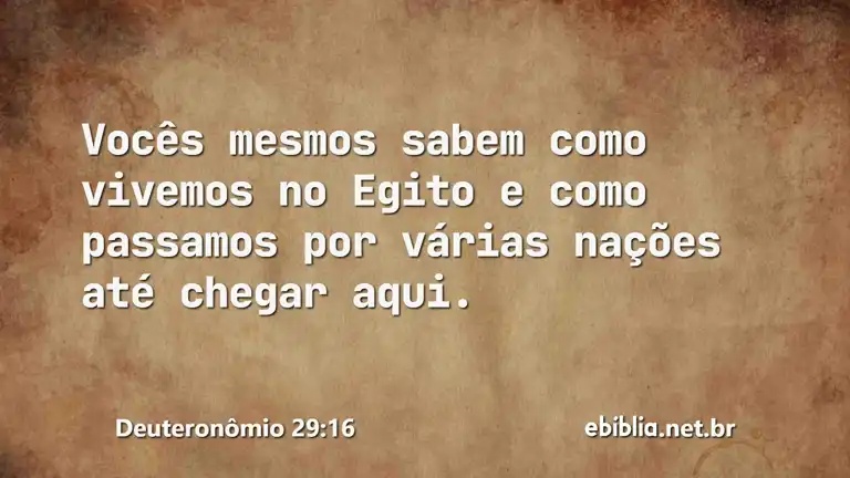 Deuteronômio 29:16