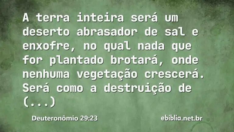 Deuteronômio 29:23